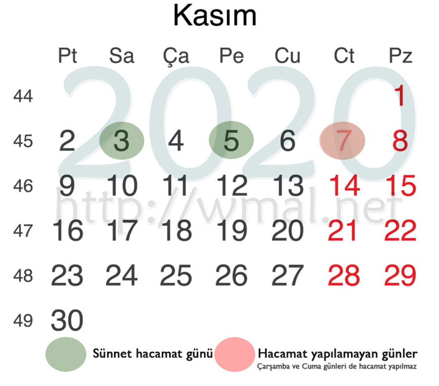 2020 yılı sünnet hacamat takvimi 6